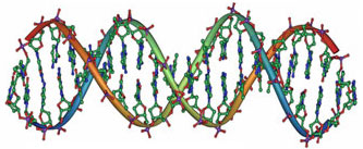 Активация кода ДНК