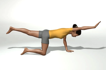  , <noindex><a href=//www.youryoga.org class=hide>--  www.youryoga.org/copyright.htm --</a></noindex>      