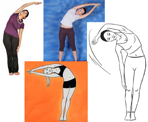  , <noindex><a href=//www.youryoga.org class=hide>--   -  www.youryoga.org/copyright.htm -    --</a></noindex>      