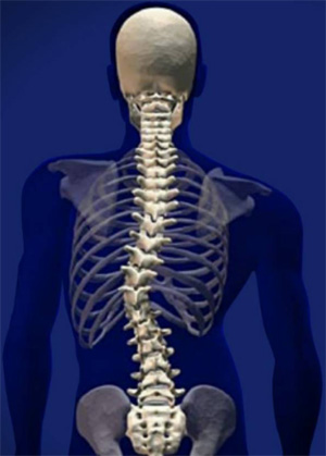  , <noindex><a href=//www.youryoga.org class=hide>--    --   : www.youryoga.org -   --       --</a></noindex>      