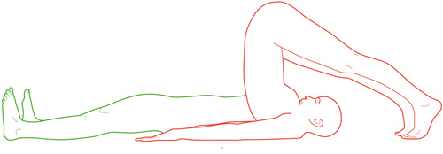  , <noindex><a href=//www.youryoga.org class=hide>--    ...   ... www.youryoga.org/copyright.htm --    --         --</a></noindex>      